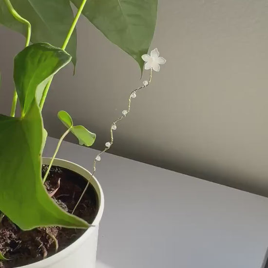 Plant decor, indoor plant pots, plant ornaments, crystals, plant lover gift, plant stakes, elegant floral garden charm for indoor plants
